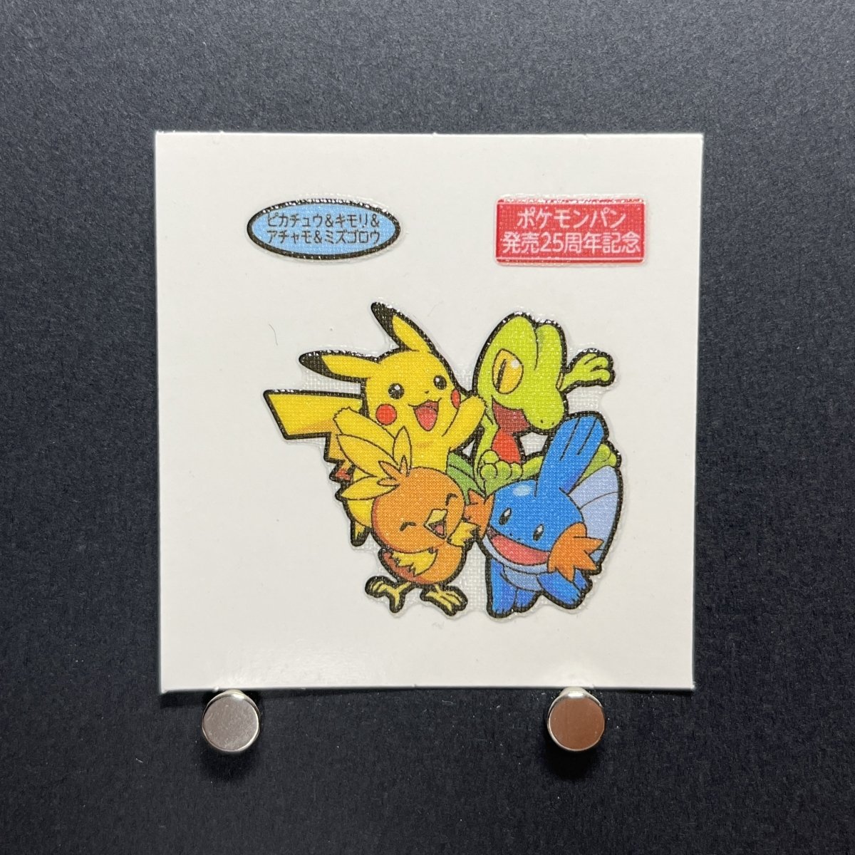 Pikachu&Treecko&Torchic&Mudkip Decochara Seal Sticker bread sticker 25th anniversary Japanese (1.NM) - JariseStore
