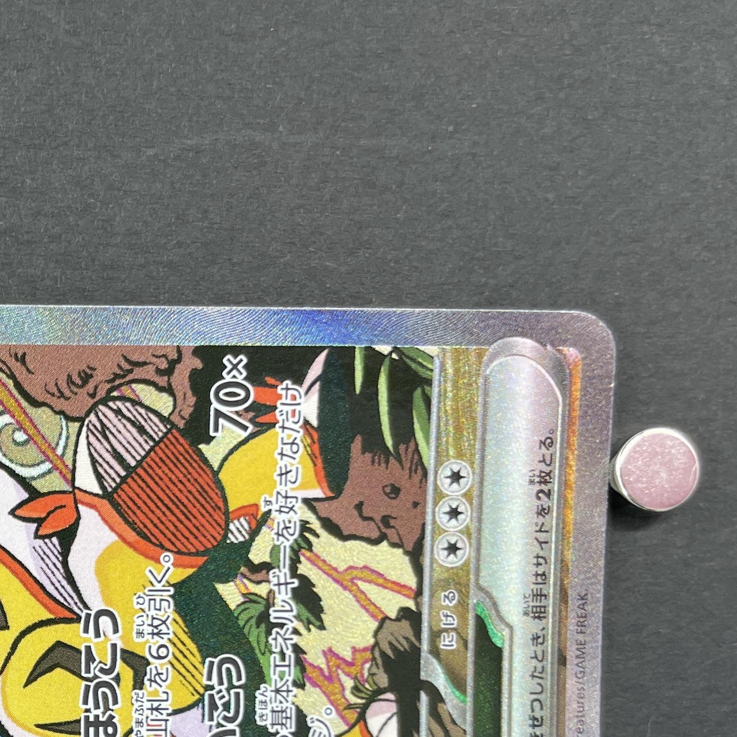 Raging Bolt ex SAR 222/187 Pokemon card Terastal Fest ex sv8a (1.NM)