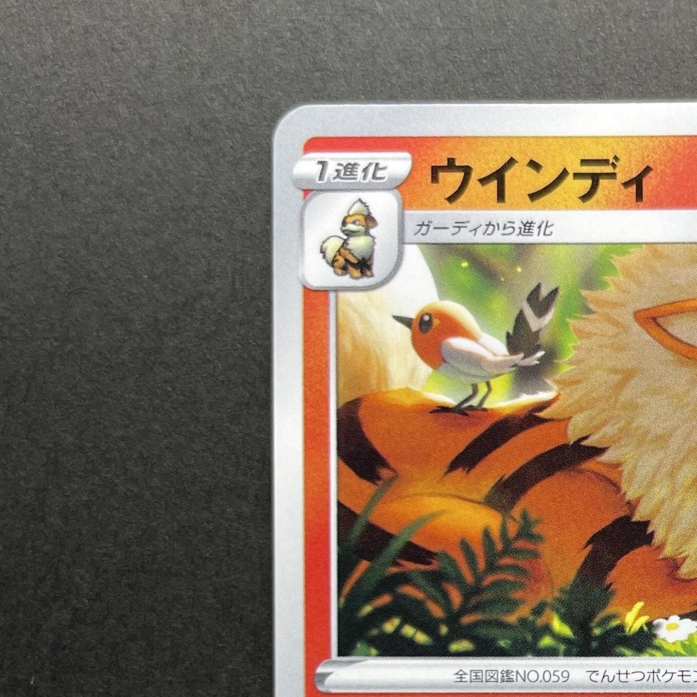 Arcanine 338/S - P Pokemon card Promo (1.NM) - JariseStore