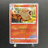 Arcanine 338/S - P Pokemon card Promo (1.NM) - JariseStore