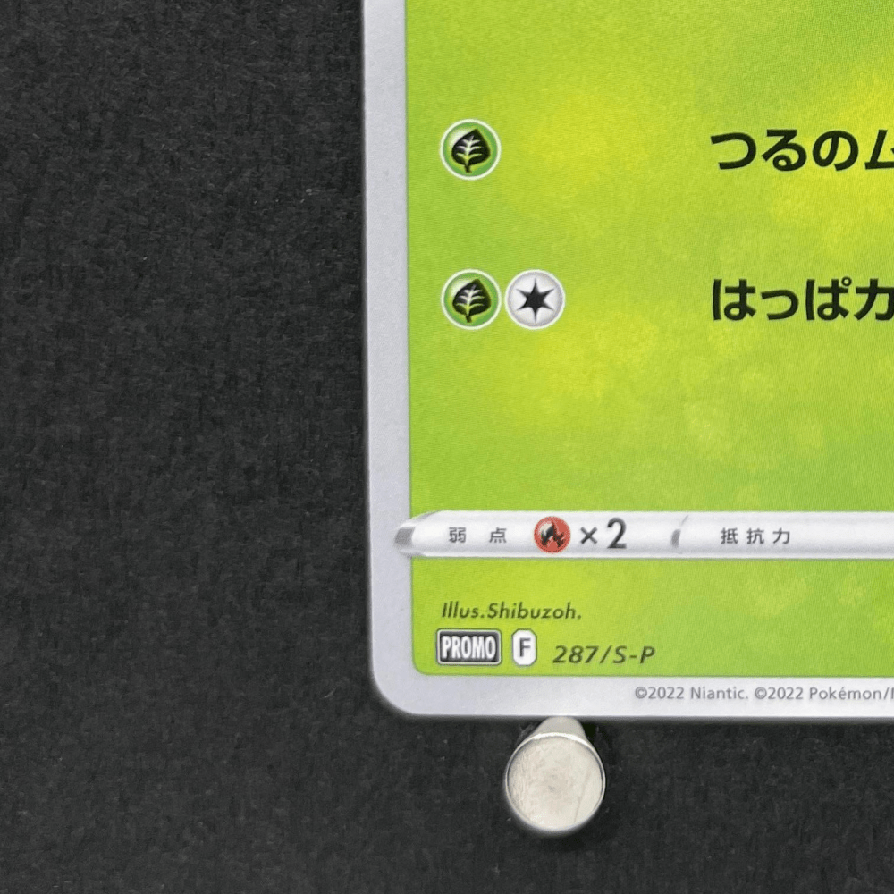 Bulbasaur 287/S - P Pokemon card Promo (2.LP) - JariseStore