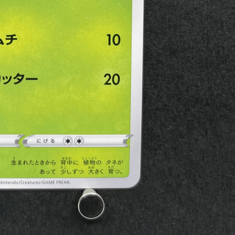 Bulbasaur 287/S - P Pokemon card Promo (2.LP) - JariseStore