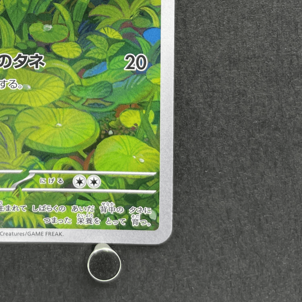 Bulbasaur AR 166/165 Pokemon card Pokemon 151 sv2a (1.NM) - JariseStore