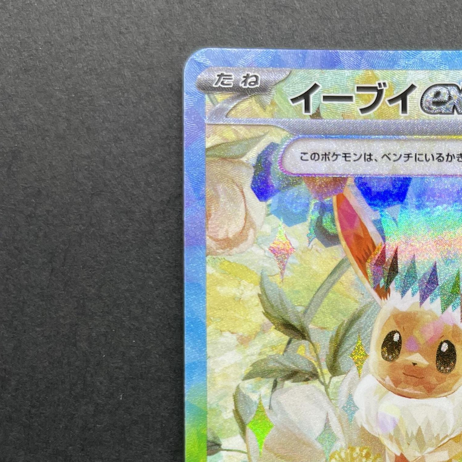 Eevee ex SAR 223/187 Pokemon card Terastal Fest ex sv8a (1.NM)