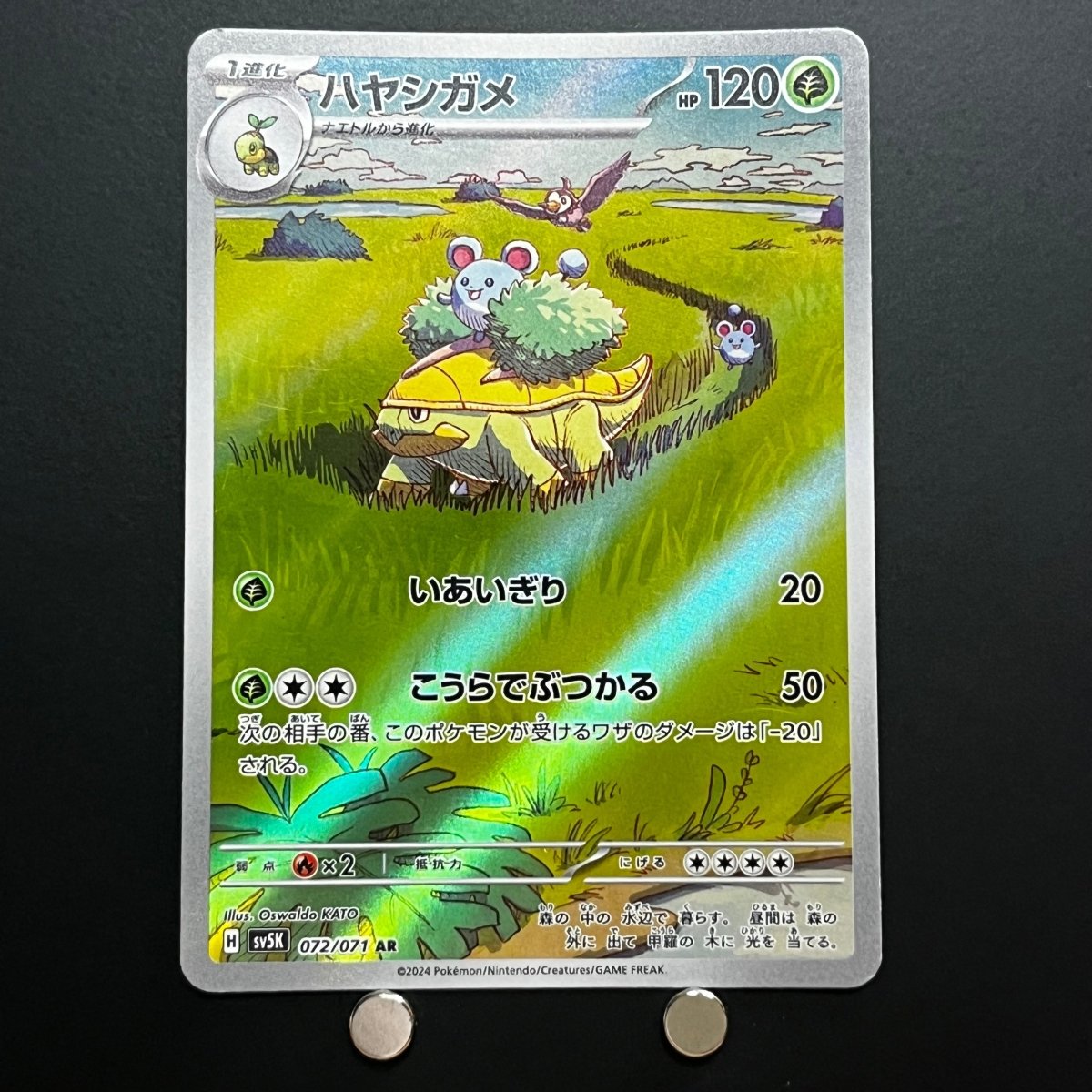 Grotle AR 072/071 Pokemon Card Wild Force sv5k Japanese (2.LP) Scratch - JariseStore