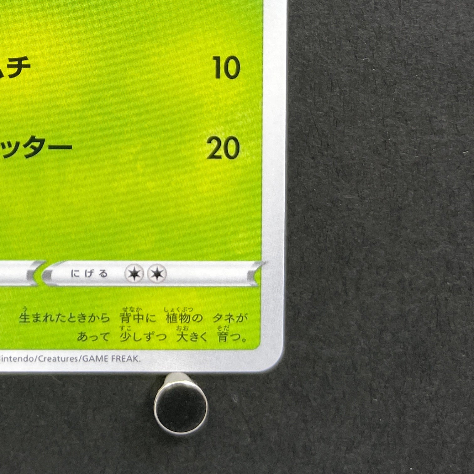 Bulbasaur 287/S-P Pokemon card Promo (1.NM)