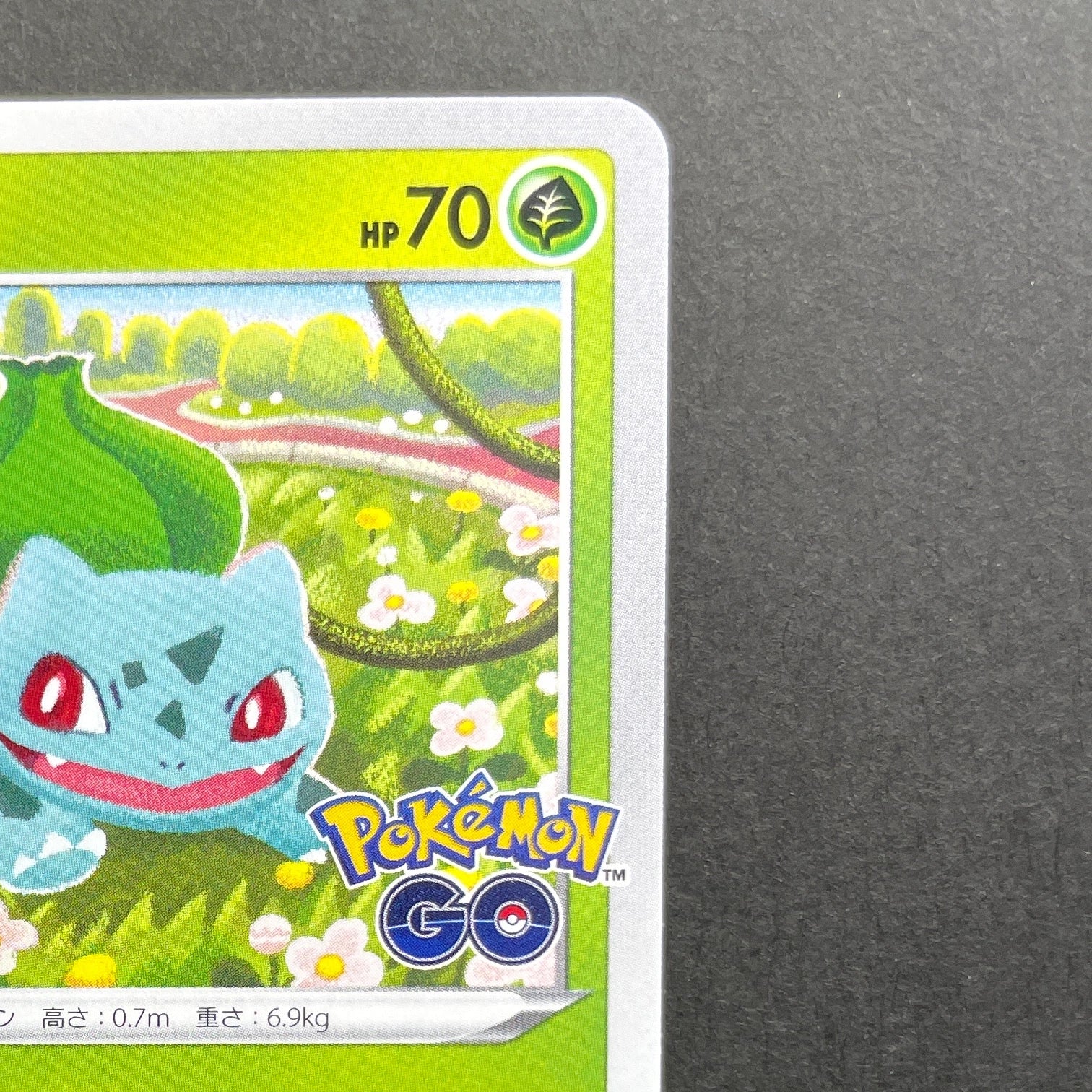 Bulbasaur 287/S-P Pokemon card Promo (1.NM)