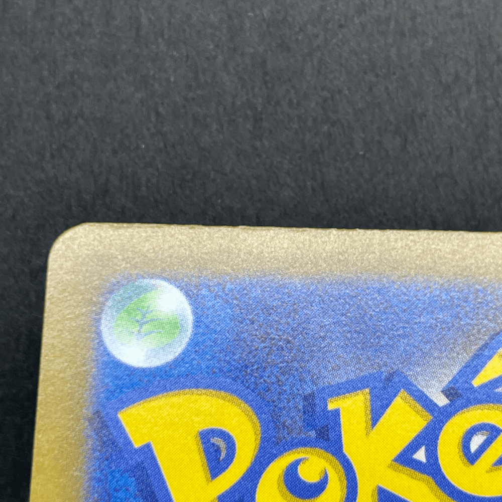 Lapras ex 002/M - P Pokemon card Promo (1.NM) - JariseStore