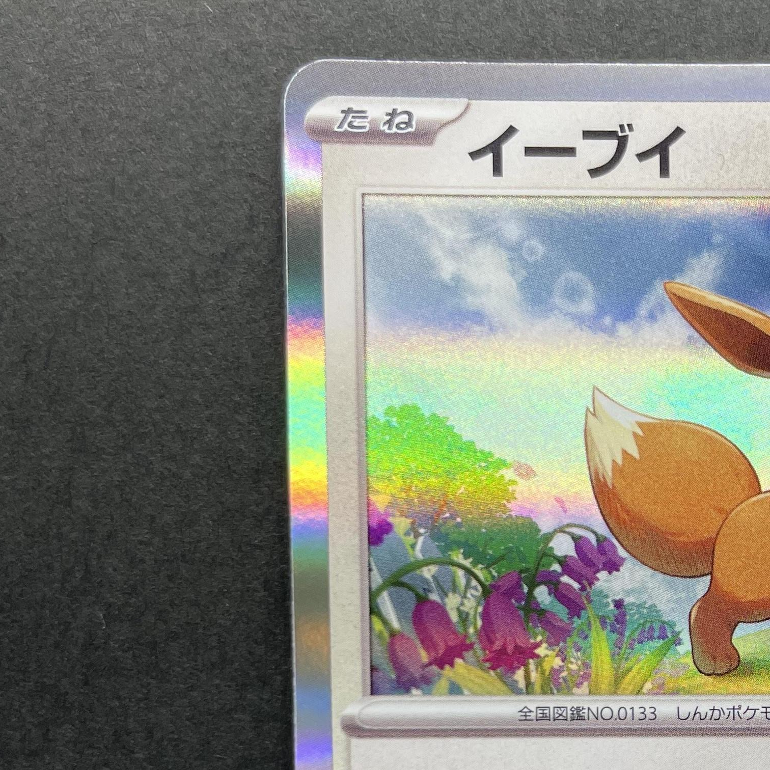 Eevee 032/SV-P Pokemon card Promo (1.NM)