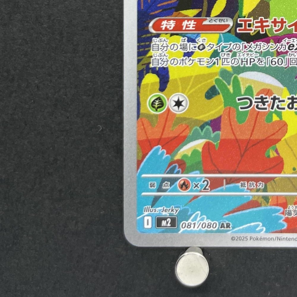 Ludicolo AR 081/080 Pokemon card Inferno X M2 (1.NM) - JariseStore