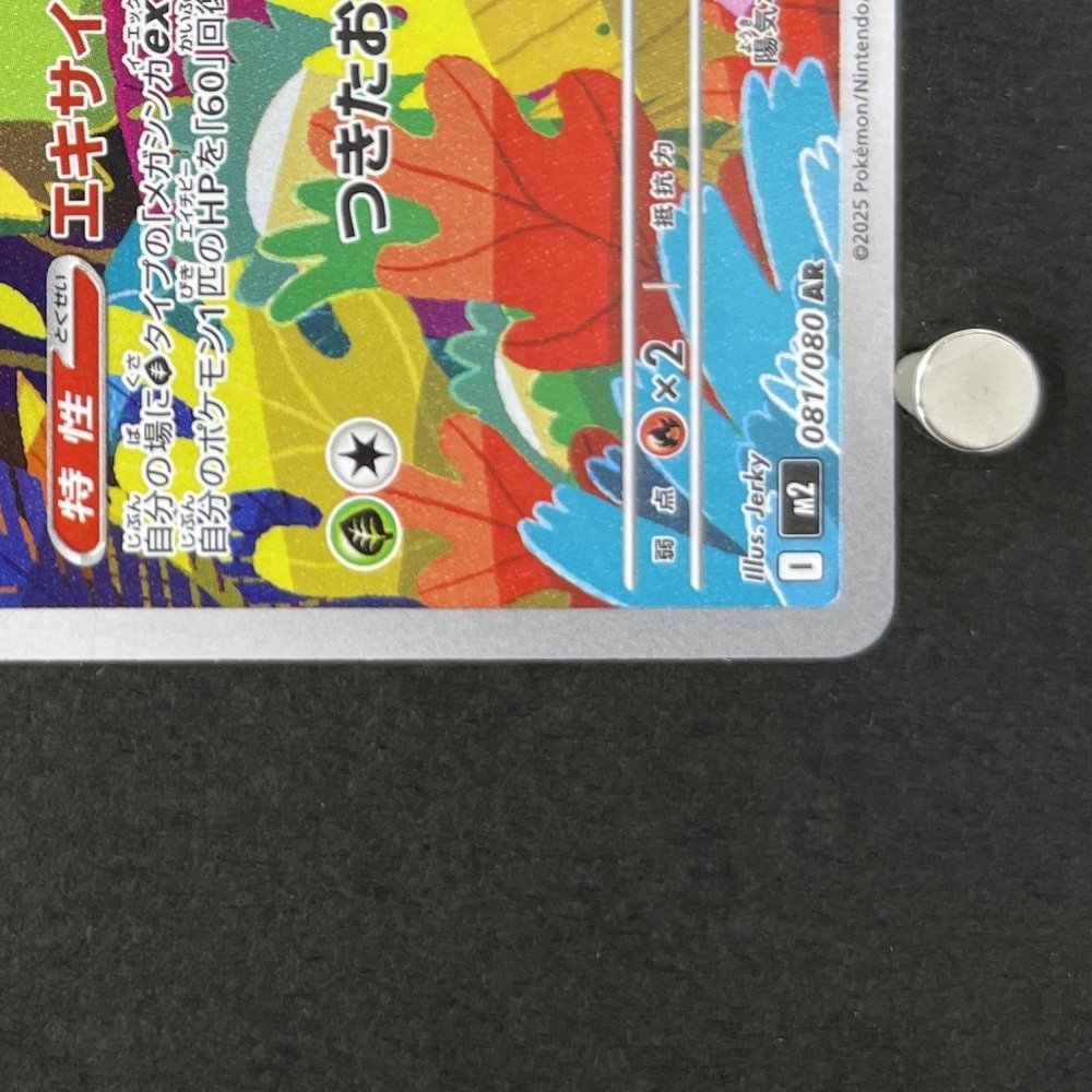 Ludicolo AR 081/080 Pokemon card Inferno X M2 (1.NM) - JariseStore