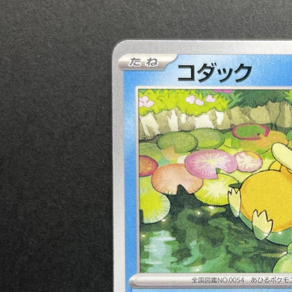 Psyduck 262/SV - P Pokemon card Promo (2.LP) - JariseStore