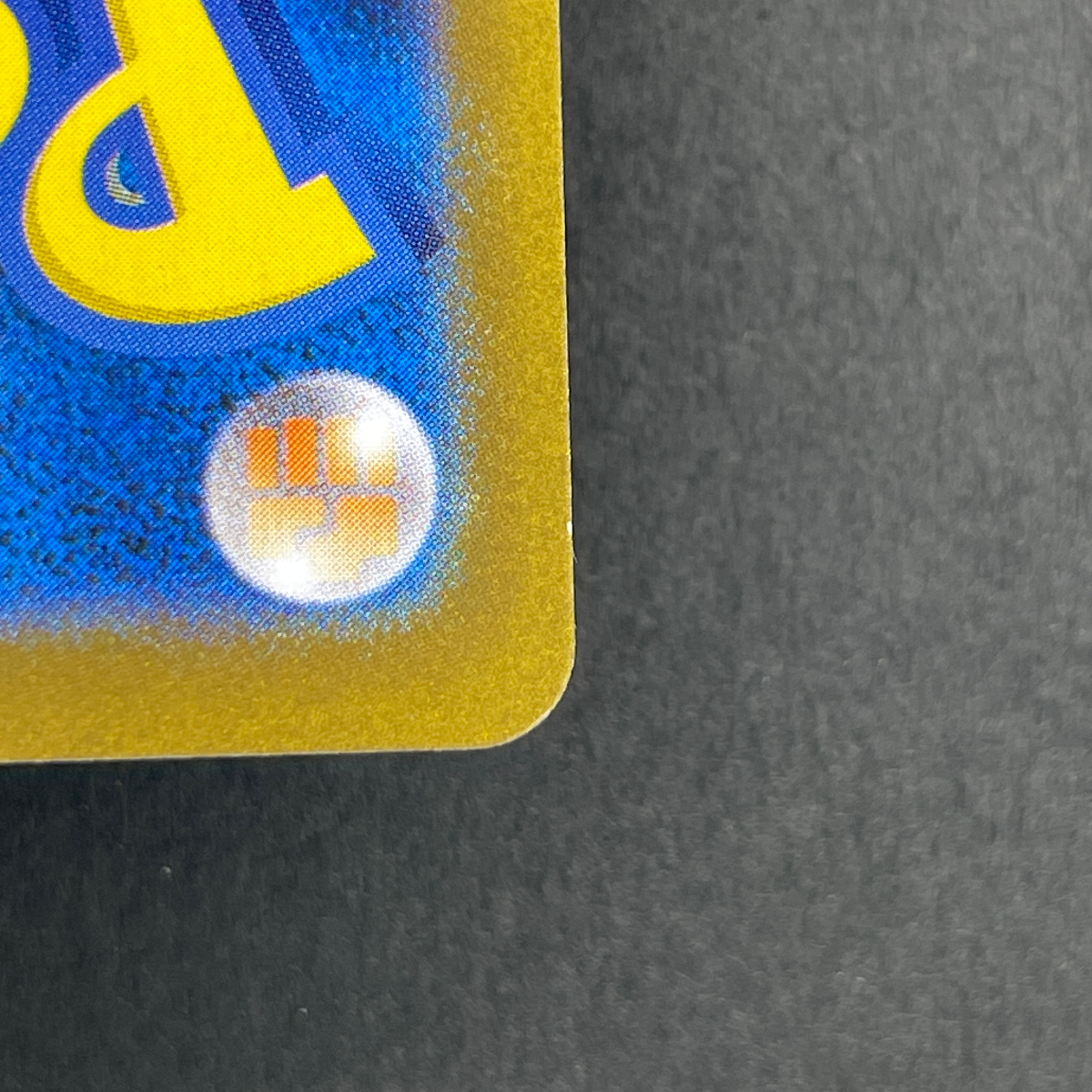 Raging Bolt ex SAR 222/187 Pokemon card Terastal Fest ex sv8a (1.NM)