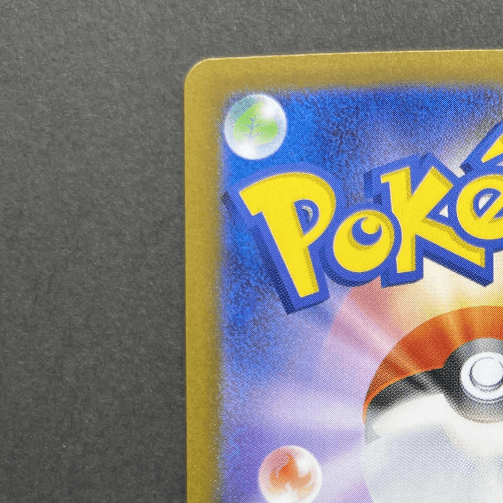 Raging Bolt ex SAR 222/187 Pokemon card Terastal Fest ex sv8a (1.NM) - JariseStore