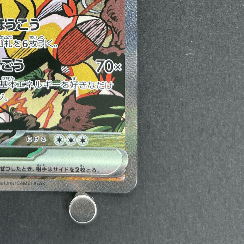 Raging Bolt ex SAR 222/187 Pokemon card Terastal Fest ex sv8a (1.NM) - JariseStore