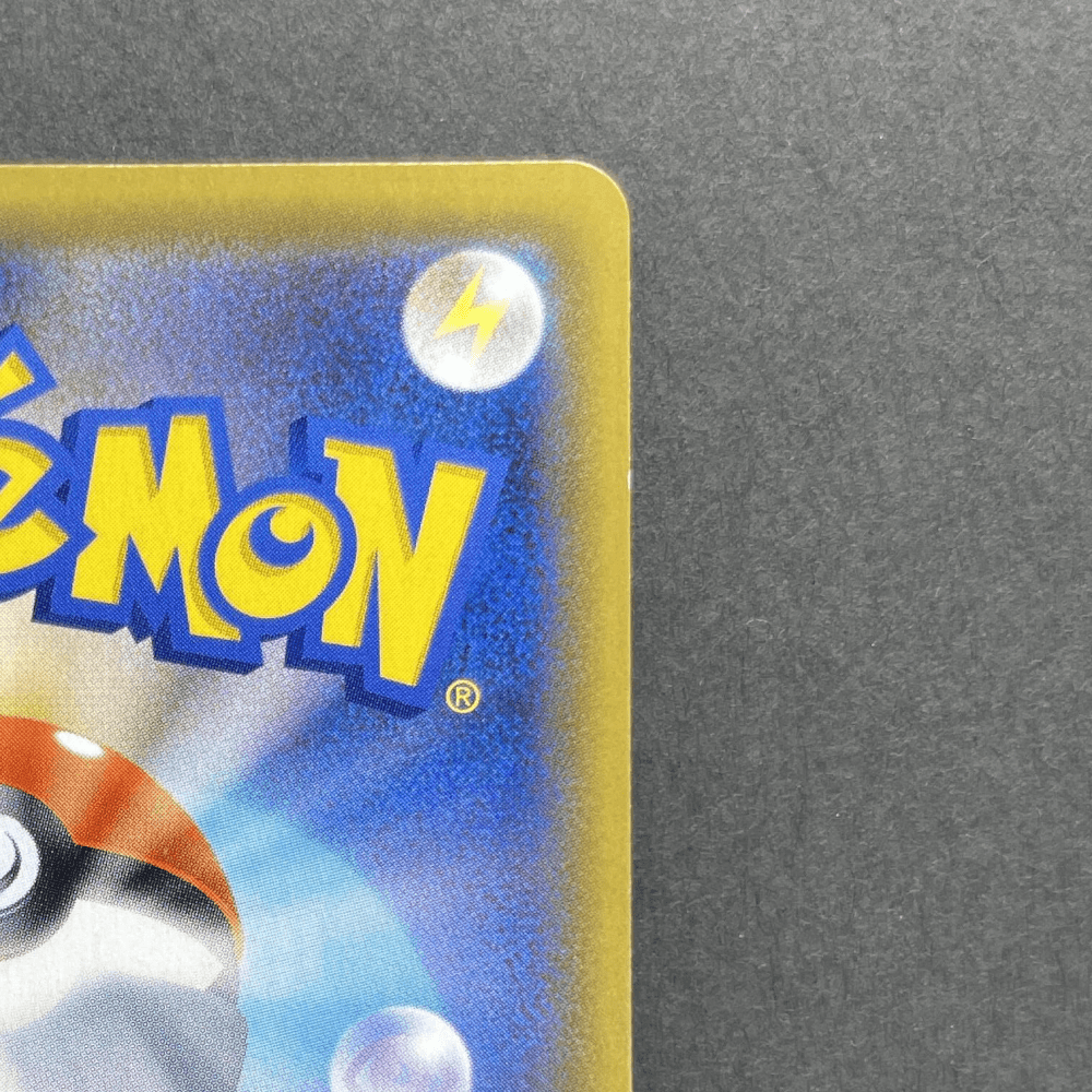 Raichu & Alolan Raichu GX SR 056/054 Pokemon card GG End sm10a (2.LP) - JariseStore