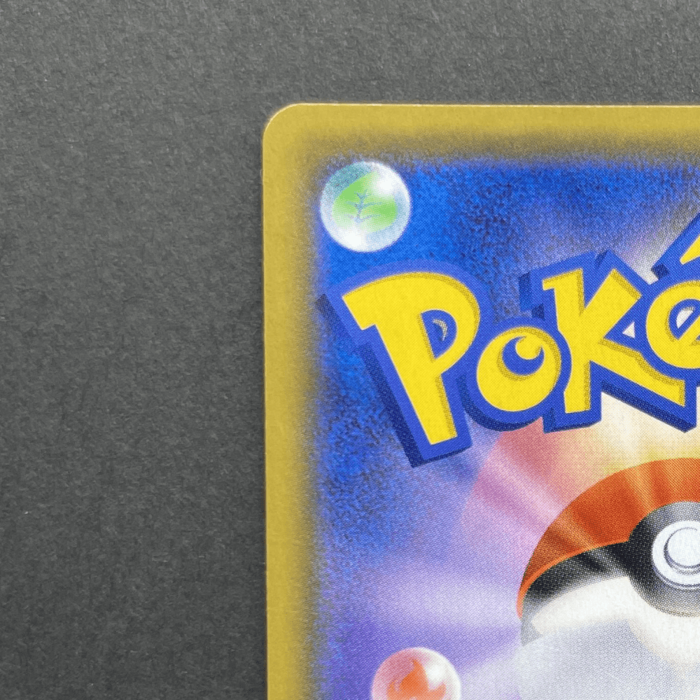 Raichu & Alolan Raichu GX SR 056/054 Pokemon card GG End sm10a (2.LP) - JariseStore