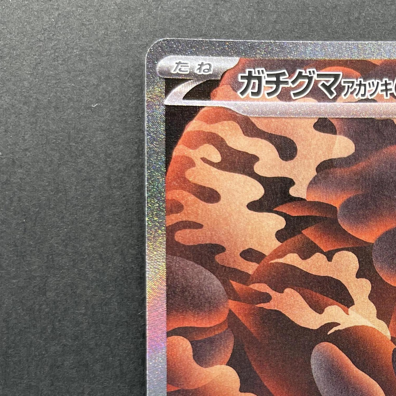 Bloodmoon Ursaluna ex SAR 225/187 Pokemon card Terastal Fest ex sv8a (1.NM)